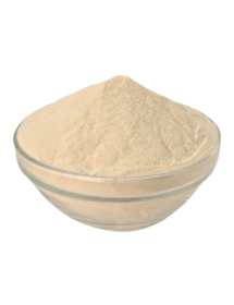 Poudre d'Aloe Vera 100x Poudre d'Aloe Vera 100x